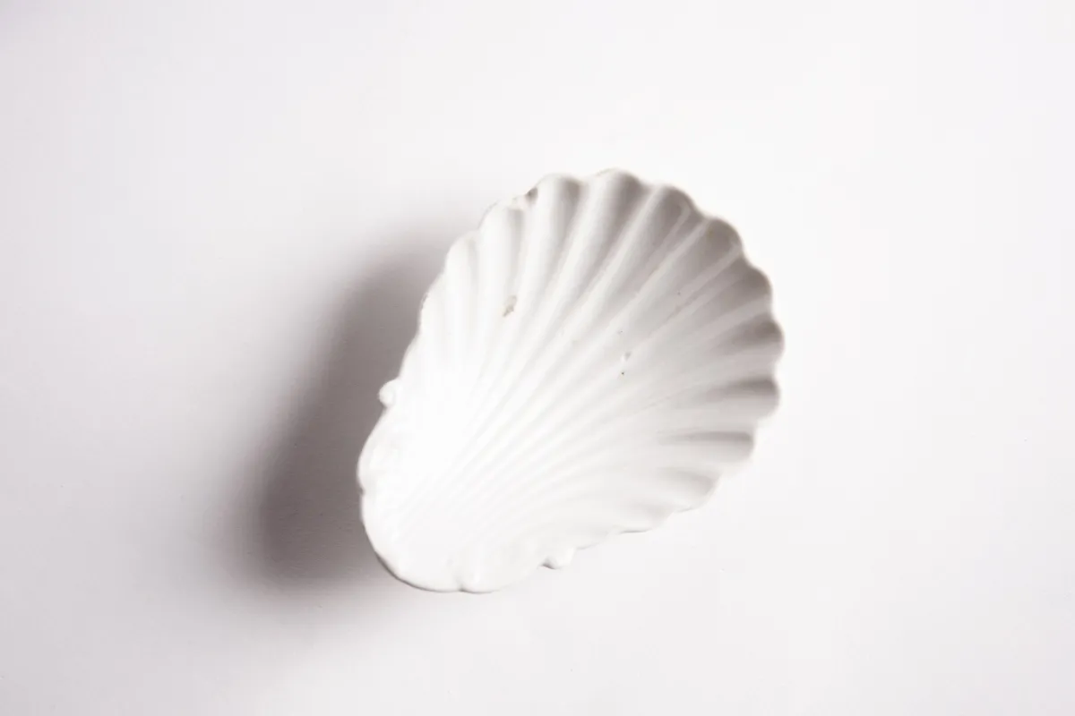 Best Bitossi Home Piattino Conchiglia Ginori '800